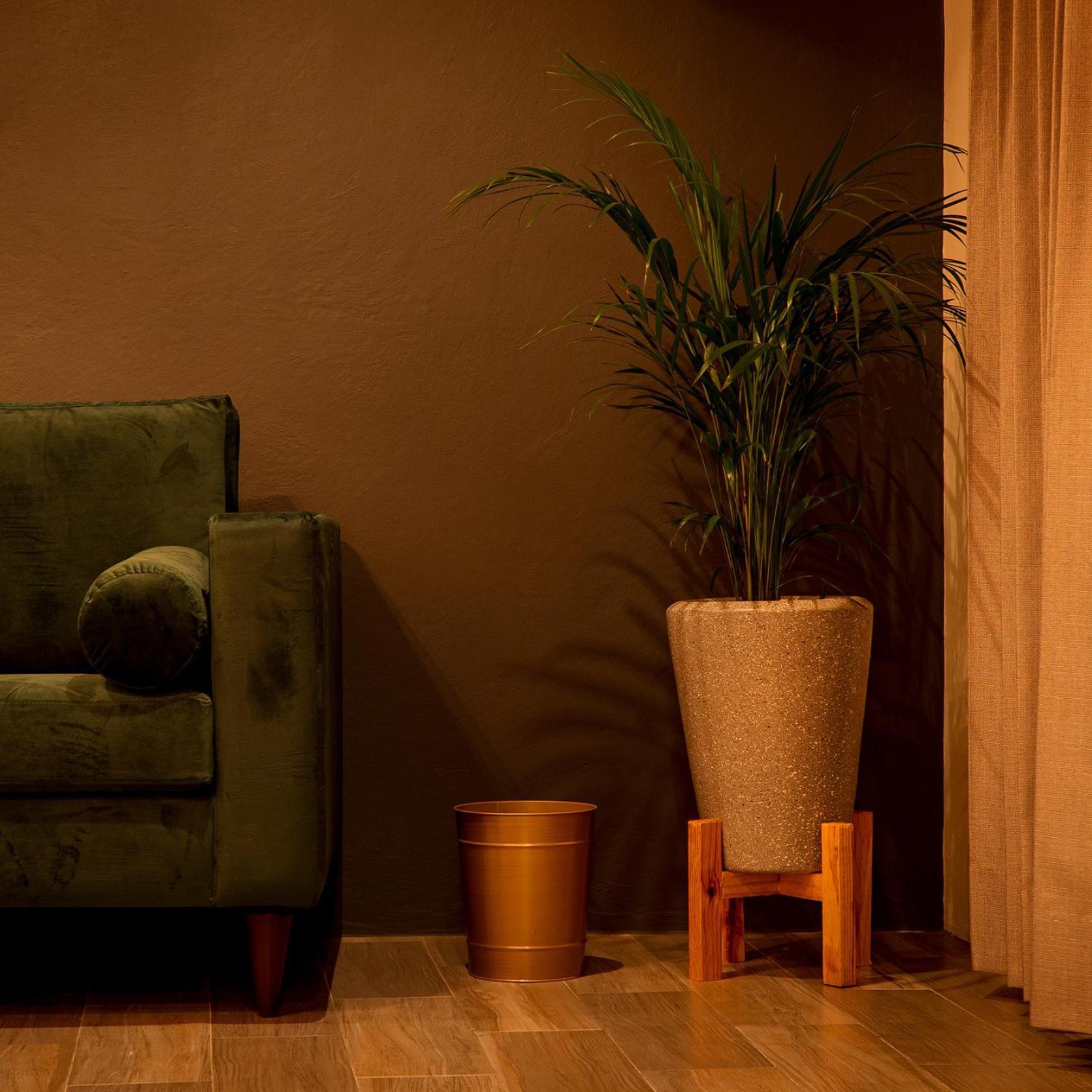 Na Hotel San Cristóbal de Las Casas Buitenkant foto